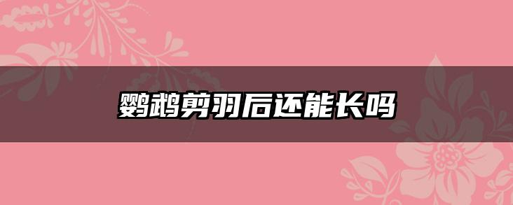 鹦鹉剪羽后还能长吗
