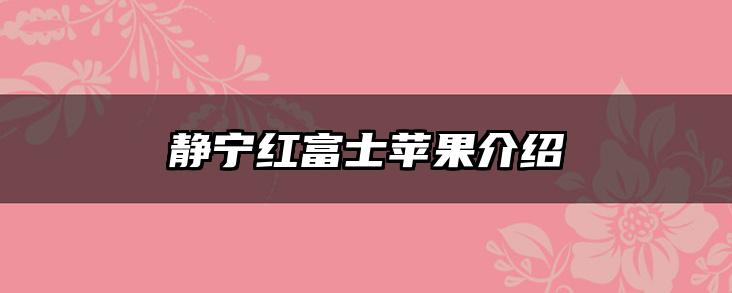 静宁红富士苹果介绍