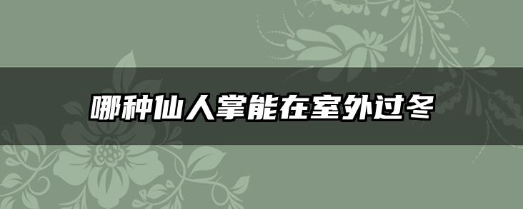 哪种仙人掌能在室外过冬