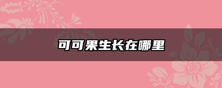 可可果生长在哪里