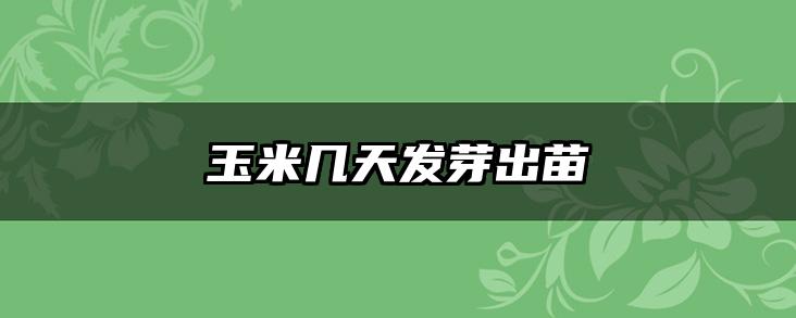 玉米几天发芽出苗