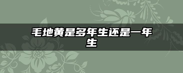 毛地黄是多年生还是一年生