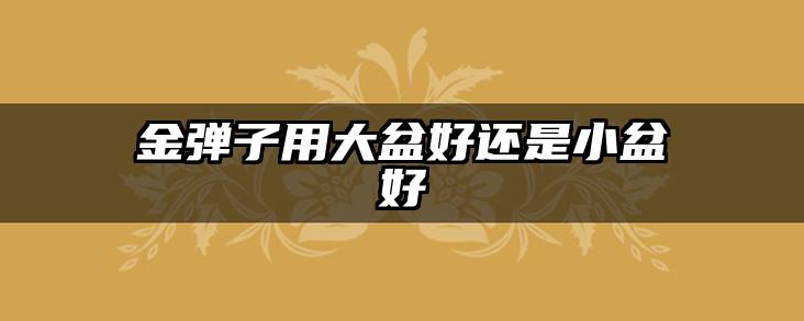 金弹子用大盆好还是小盆好