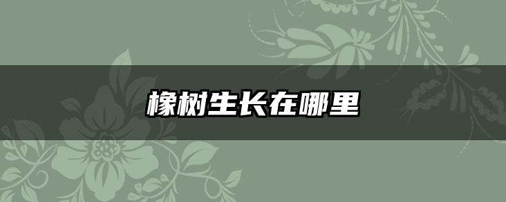 橡树生长在哪里