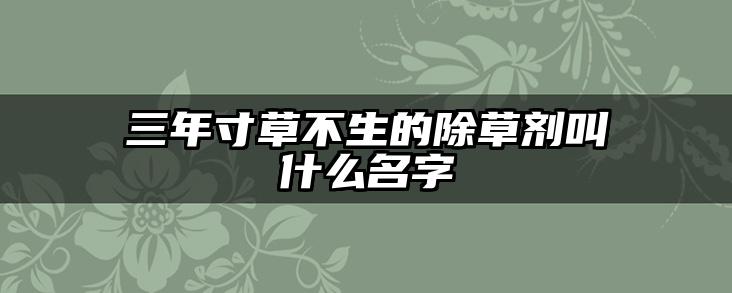 三年寸草不生的除草剂叫什么名字