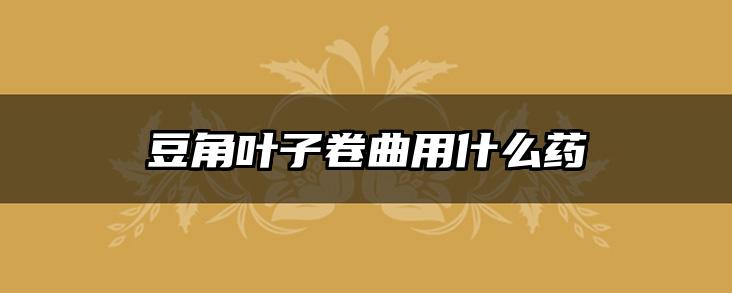 豆角叶子卷曲用什么药