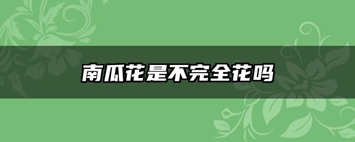 南瓜花是不完全花吗