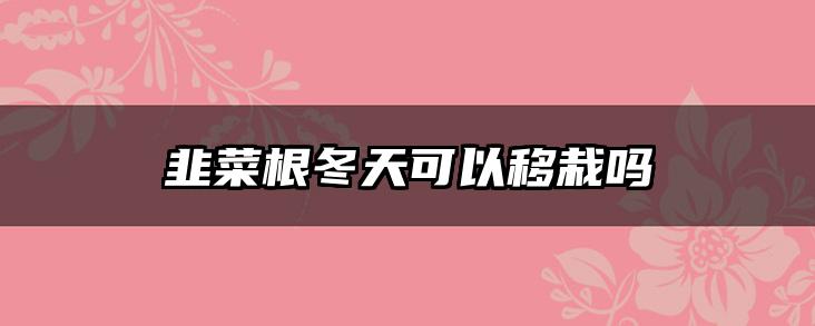 韭菜根冬天可以移栽吗