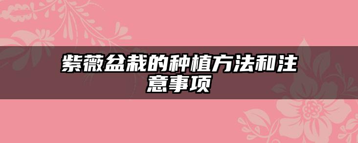 紫薇盆栽的种植方法和注意事项
