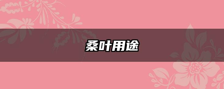 桑叶用途