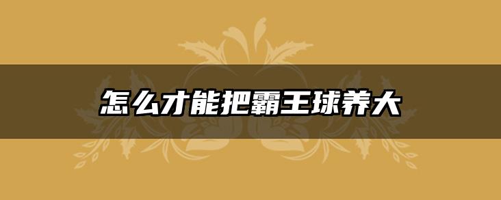 怎么才能把霸王球养大
