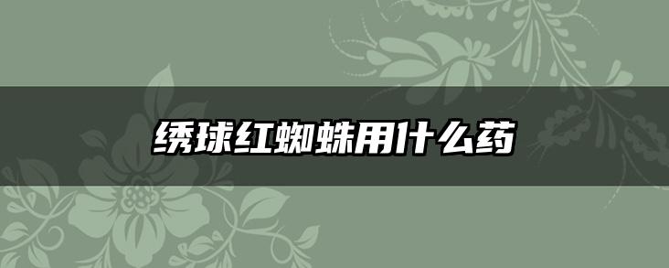 绣球红蜘蛛用什么药