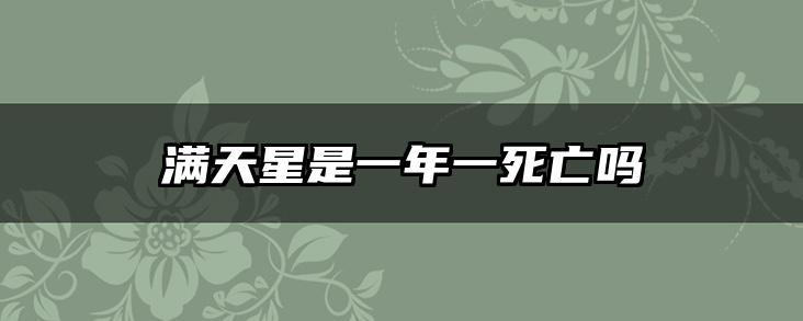 满天星是一年一死亡吗