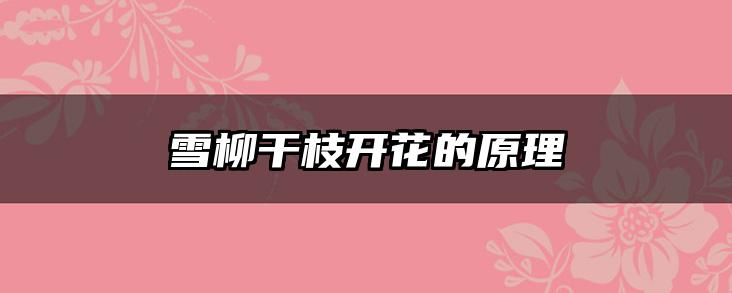 雪柳干枝开花的原理