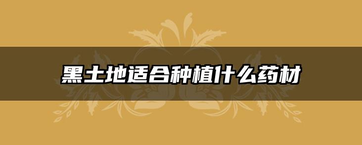 黑土地适合种植什么药材