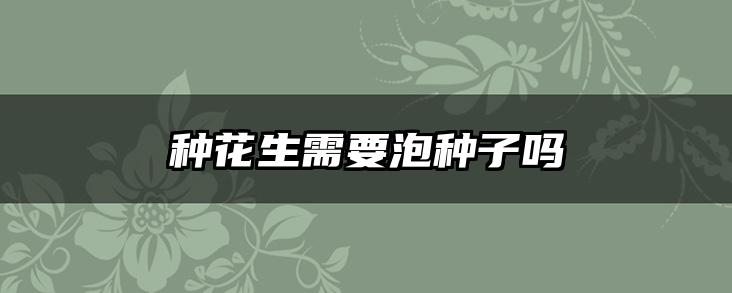 种花生需要泡种子吗