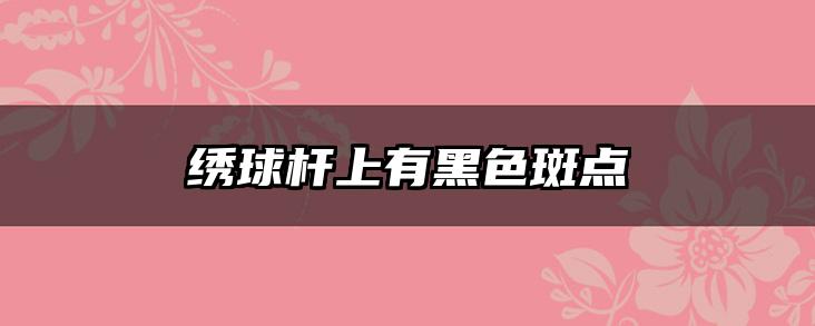 绣球杆上有黑色斑点