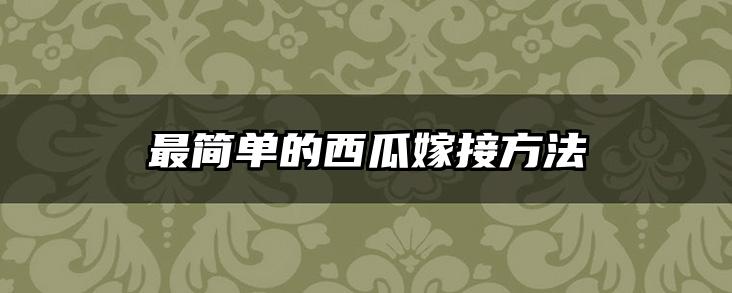 最简单的西瓜嫁接方法
