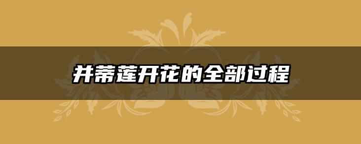 并蒂莲开花的全部过程
