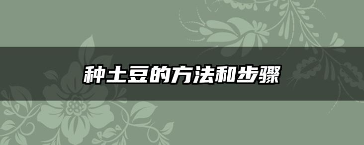 种土豆的方法和步骤