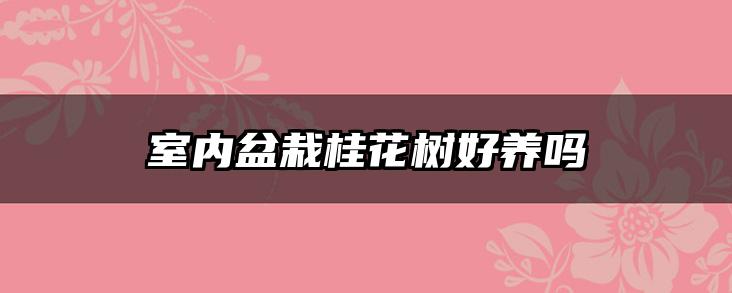 室内盆栽桂花树好养吗