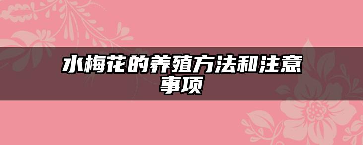 水梅花的养殖方法和注意事项
