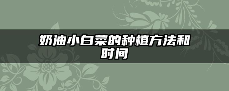 奶油小白菜的种植方法和时间