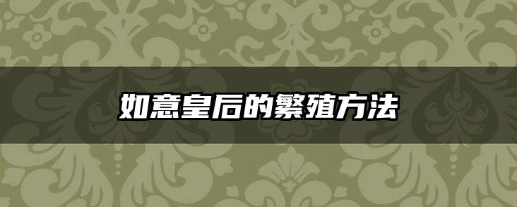 如意皇后的繁殖方法