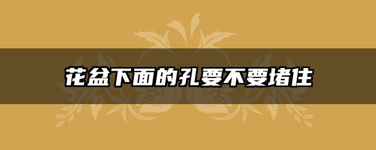 花盆下面的孔要不要堵住