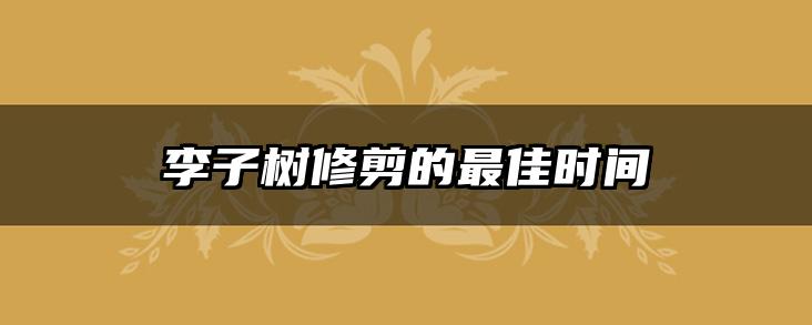 李子树修剪的最佳时间