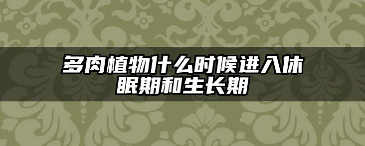 多肉植物什么时候进入休眠期和生长期