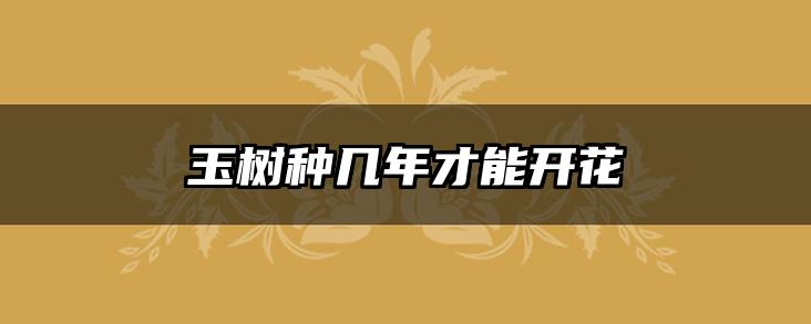 玉树种几年才能开花