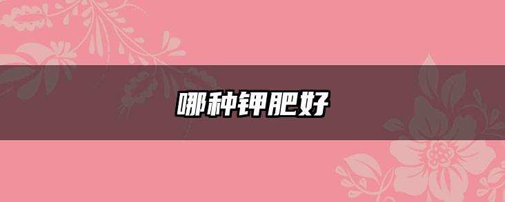 哪种钾肥好