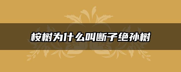 桉树为什么叫断子绝孙树