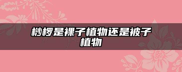 桫椤是裸子植物还是被子植物