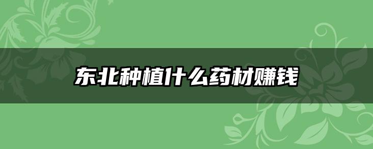 东北种植什么药材赚钱