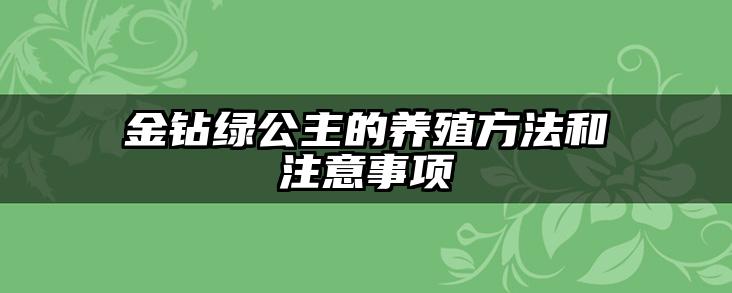 金钻绿公主的养殖方法和注意事项