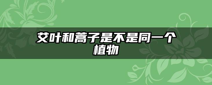 艾叶和蒿子是不是同一个植物