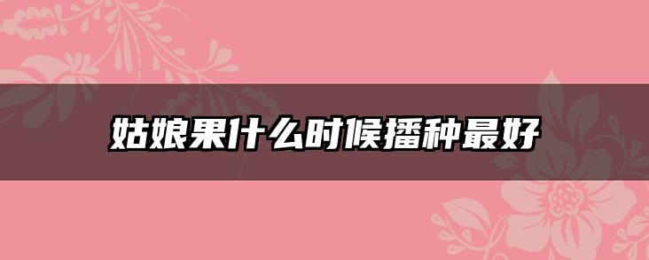 姑娘果什么时候播种最好