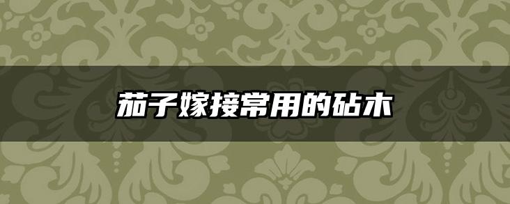茄子嫁接常用的砧木