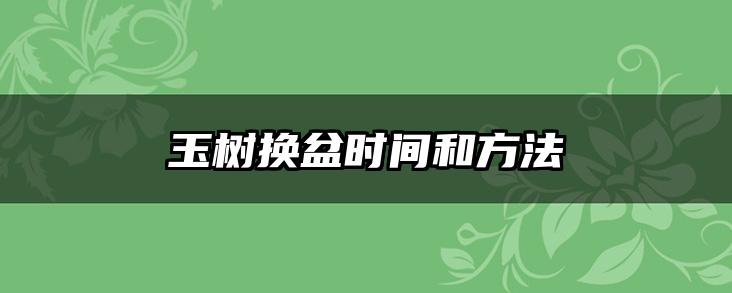 玉树换盆时间和方法
