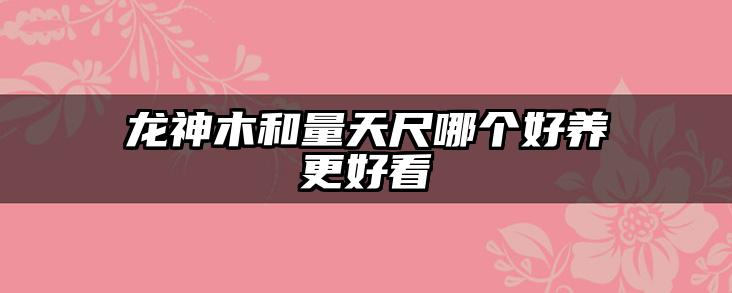 龙神木和量天尺哪个好养更好看