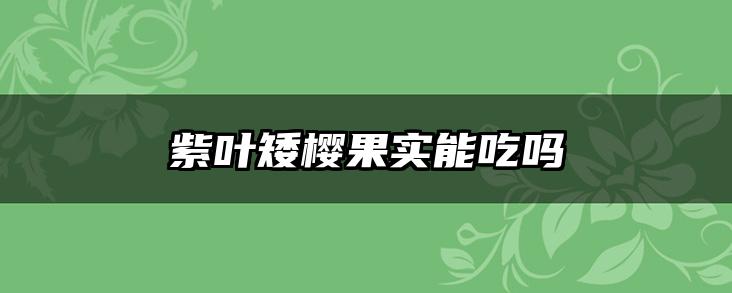 紫叶矮樱果实能吃吗