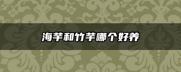 海芋和竹芋哪个好养