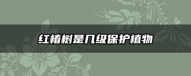 红椿树是几级保护植物