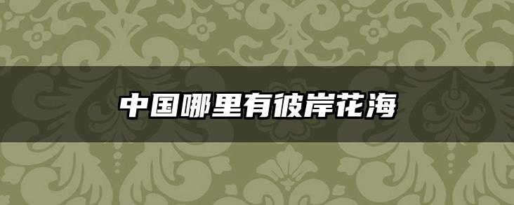 中国哪里有彼岸花海