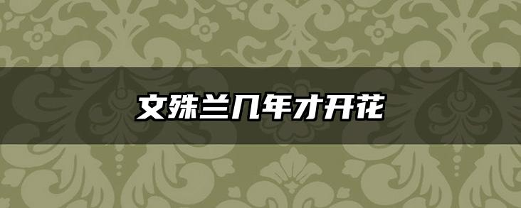 文殊兰几年才开花