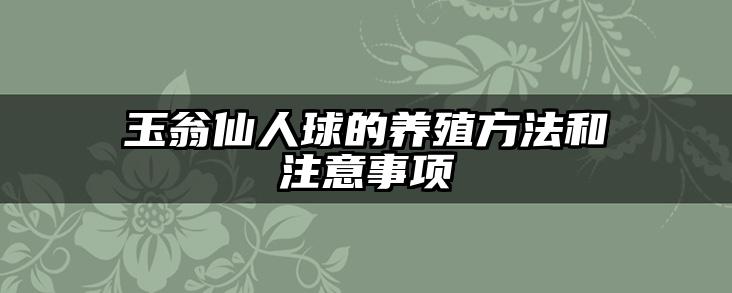 玉翁仙人球的养殖方法和注意事项