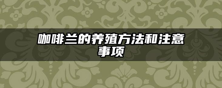 咖啡兰的养殖方法和注意事项