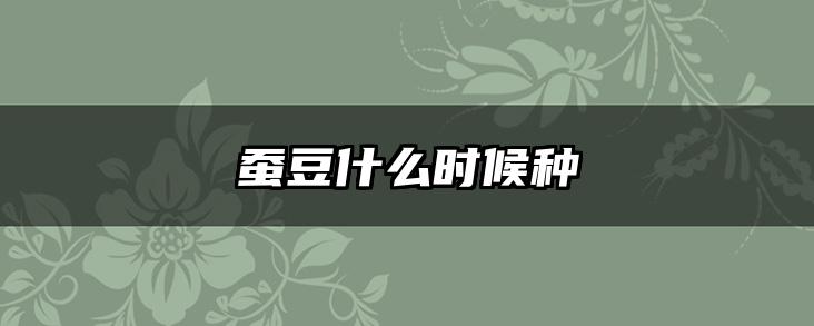 蚕豆什么时候种